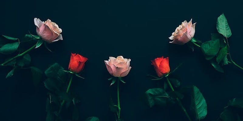 Aku Enggak Tahu Apa Itu Cinta